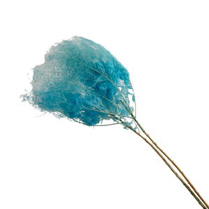 Offre Spéciale Conservé Fleur Éternelle Fumée Brousse Pour Arrangement de fleurs Fleur Éternelle - Product Image 5