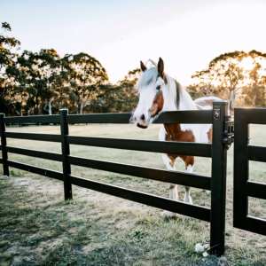 住宅の3Dモデリング用 簡単設置 ブラックビニール PVCプラスチック製 レール牧場・農場・馬用パドックフェンス 変色・退色なし - Product Image 1