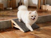 Rampe d'escalier pour chien, planche inclinée, étireur de mollets et repose-pieds de bureau pour petits chiens