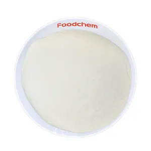 Suspension Stabilizer Thickener Food Grade 80/200Mesh Xanthan Gum in Baking