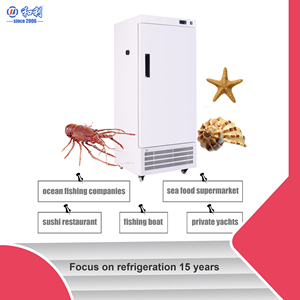Congelador Vertical para el Hogar, Mini Congeladores de 188L, Refrigerador de Temperatura Ultrabaja de 60 Grados, Congelador Solar DW-60L188 - Product Image 6