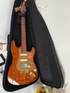 <span class=keywords><strong>Guitare</strong></span> électrique Bullfighter D-190 - Product Image 6