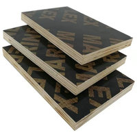 Contreplaqué imperméable WBP E1 moderne noir filmé première qualité 18mm 2440x1220mm avec âme en eucalyptus, peuplier et pin pour coffrage