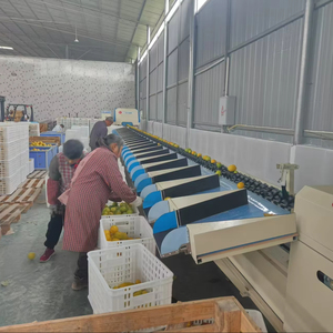 เครื่องคัดแยกมะนาวอัจฉริยะสำหรับการเกษตรพร้อมชิ้นส่วนแกนเครื่องยนต์ - Product Image 1