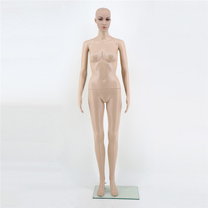 Aaafl — mannequin double corps et demi-corps pour <span class=keywords><strong>femme</strong></span>, accessoire cosmétique, OEM et ODM, Offre Spéciale - Product Image 1