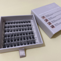 Kit d'extensions de cils pré-coupés en segments pour DIY, en gros, marque privée, faux cils individuels en vison, kit de cils en grappe