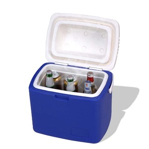 12L Nhựa Ice Box Bọt <span class=keywords><strong>Polyurethane</strong></span> Nhiệt Điện Mát - Product Image 1