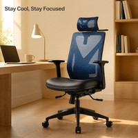 Fauteuil de Direction Ergonomique à Dossier Haut en Maille, Design Moderne, Roulettes, Dossier Moyen