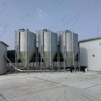 Silo automatique en acier galvanisé, état neuf, système d'équipement avicole, entrepôt de stockage de céréales et de maïs pour élevages, avec moteur
