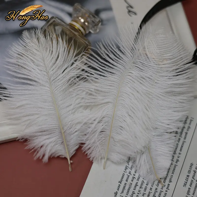 Wholesale Natural 15-75cm White Ostrich Feather Fluffy Plume Dyed Patterned Carnival Costume Wedding Party Events Centerpieces