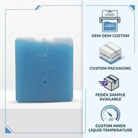 Brique de glace adaptée aux enfants pour la nourriture Boîte isotherme réutilisable de diverses formes