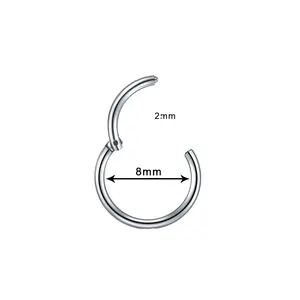 2024 Wholesale Nose Ring Closure Ring No Needle Spacer Earrings Titanium Piercing Jewellery G23 Titanium Suspension Ring