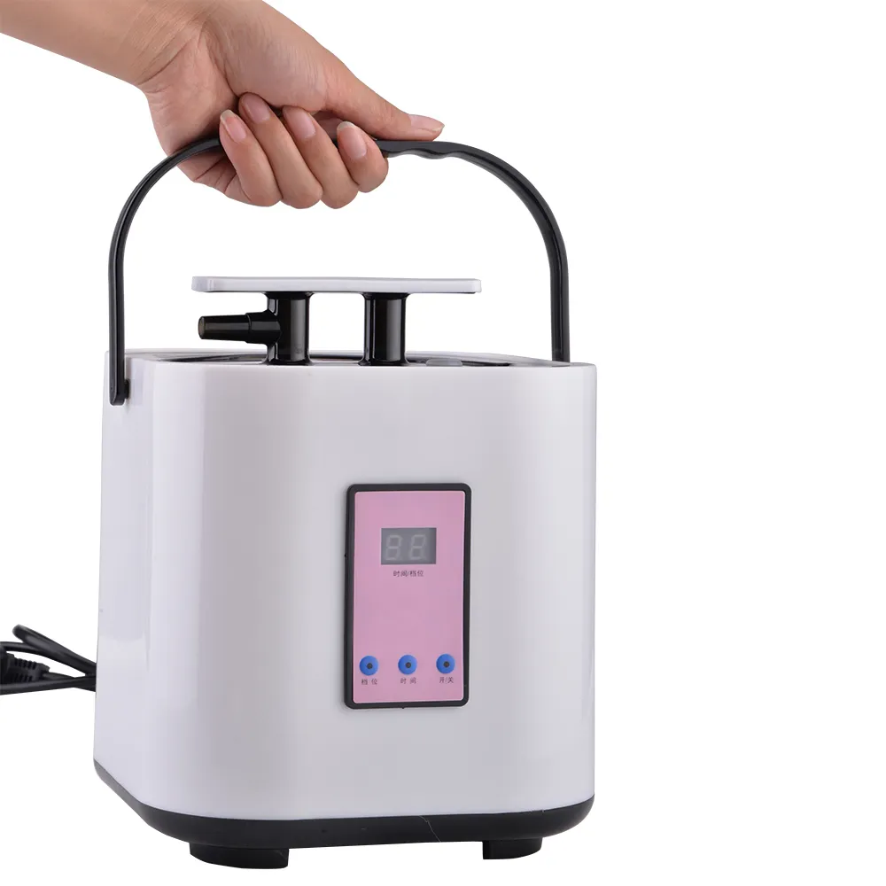 DINGDA nouveau Style générateur de vapeur thérapie pour Sauna SPA chauffage avec maison Sauna chambre vapeur Pot