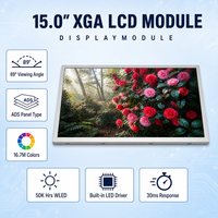 Módulo LCD TFT XGA de 15.0 Pulgadas BOE DV150X0M-N16, 1024x768 LVDS, 600cd/m2, Panel de Pantalla Industrial IPS de Alto Brillo, -20~70C