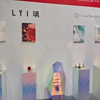 Présentoir Cube en Acrylique Transparent Chinaplas – Support Tout-en-un pour Fleurs de Mariage, Trophées, Figurines Artistiques et Sculptures