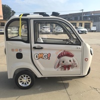 Triciclo Eléctrico de Cabina Cerrada de 800W, 2 Puertas, 3 Asientos, Scooter de Movilidad para Personas Mayores, para el Desplazamiento Diario Familiar, Compras, Recogida de Niños