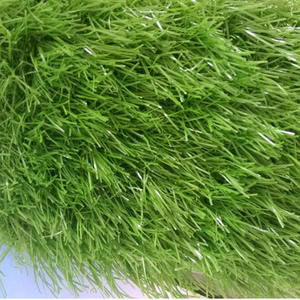 Tapis de simulation de gazon artificiel Tapis d'urine pour chien et chat Tapis de pelouse pour animaux de compagnie - Product Image 4