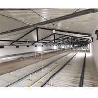 Granja Avícola para 10000 Pollos/Establo para 20000 Pollos