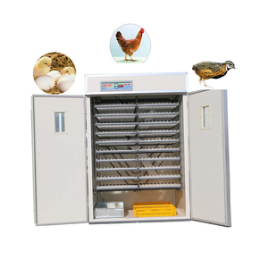 HJ-I15 comercial ovo incubadora configuração automática 3520 ovos de galinha incubadora máquina - Product Image 1