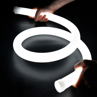 Tube lumineux LED en silicone rond flexible coloré de nouvelle conception R33mm personnalisé DC12v/24v avec bandes LED RGB SMD2835
