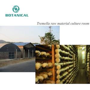 Extrato hidratante <span class=keywords><strong>natural</strong></span> de <span class=keywords><strong>Tremella</strong></span> para a pele Extrato de <span class=keywords><strong>Tremella</strong></span> Polissacarídeo 90% <span class=keywords><strong>Tremella</strong></span> Fuciformis em pó - Product Image 3