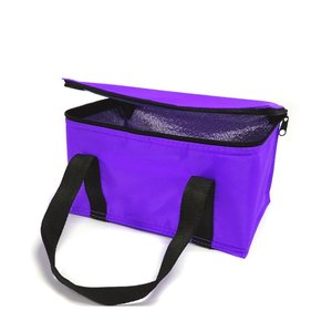 Venta al por mayor Alibaba Website Bag Manufacturer 6 Can Car Cooler Bag para la <span class=keywords><strong>insulina</strong></span> - Product Image 4