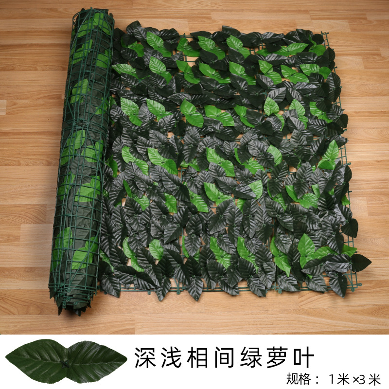 Clôture de feuilles de radis vert clair et foncé