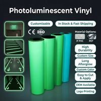 Película de Vinilo de PVC Fotoluminiscente Personalizada, Autoadhesiva, que Brilla en la Oscuridad, Luminosa, Fosforescente, Reflectante, Irrompible, Imprimible, de Seguridad