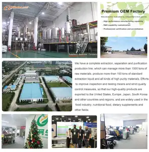 China Hersteller 200 Gitter Lebensmittel qualität Xanthan Gum Pulver Xanthan