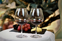 Offre Spéciale gobelet à vin rouge de luxe Tritan verres à vin sans pied incassables gobelet à vin en plastique de qualité supérieure