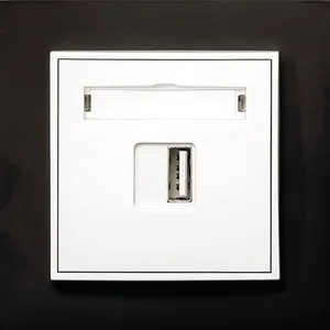 NT-LINK Cheap Keystone Fast Charger with 2-year Warranty Modular USB A / C Socket Smart Fast Charger For Insertion Install