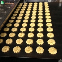 Dépôt de Machine de fabrication de biscuits à deux/une couleur, prix usine HYRXL-100