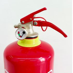 Ottima Offerta Estintore ABC 1kg/2kg/6kg/9kg/12kg OEM/ODM Estintore a Polvere Secca 20% 30% 40% con Certificazione ISO9001:2008 - Product Image 5