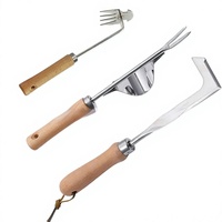 Ensemble d'outils de jardinage trois pièces en acier inoxydable pour le marché d'Asie du Sud-Est : désherbeur, décompacteur de sol pratique et extracteur de racines
