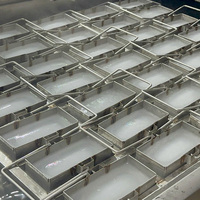 Machine à glaçons en blocs de 1T de capacité, production quotidienne de 1kg, 3kg, 5kg, pour eau salée, Afrique du Sud