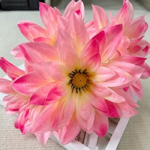 Vente en gros pas cher 5 têtes de fleurs artificielles en soie Geberra pour l'obtention du diplôme Fleurs artificielles décoratives pour les funérailles - Product Image 5