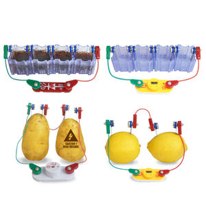 4 In 1 Fruit Energieopwekking Fysica Educatieve <span class=keywords><strong>Kit</strong></span> Eenvoudige Elektrische Circuit Experiment Speelgoed <span class=keywords><strong>Science</strong></span> <span class=keywords><strong>Lab</strong></span> <span class=keywords><strong>Kit</strong></span> Voor Kinderen - Product Image 1