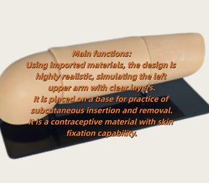 Modelo de Enseñanza para Práctica de Implante Subcutáneo Anticonceptivo en Brazo, para Planificación Familiar - Product Image 3