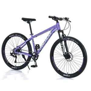 21 velocità 26 pollici 4.0 grasso pneumatico anteriore e posteriore freni a disco sospensioni complete bloccabili forcella MTB Downhill mountain bike