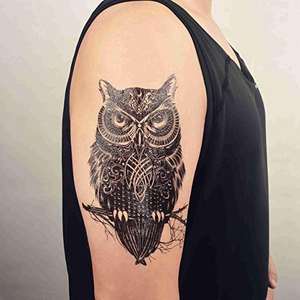 Tatuaggio temporaneo impermeabile adesivi classici gufi notturni Grey animali mezzo braccio cartone animato per bambini e bambini uomini donne Body Art - Product Image 1