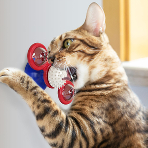 Accesorios multifunción para mascotas, juguete interactivo para gatos, movimiento, limpieza de dientes, hierba gatera, masaje, Rascado, cosquillas, juguetes para gatos - Product Image 4