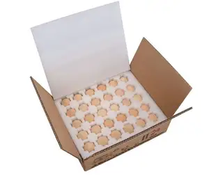 Ördek kaz tavuk yumurta organizatör ambalaj depolama paketi konteyner tutucu kutusu kartonları için tavuk yumurtası