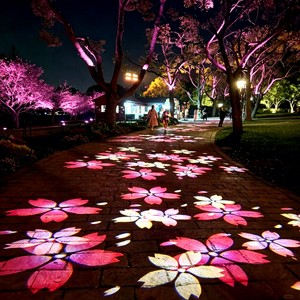 Custom Pattern IP65 <b>LED</b> Gobo <b>Projector</b> for Hotels Malls Weddings Museums Restaurants Events & Branded Wall/Floor Displays - Product Image 1