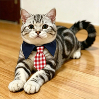Collier Faux Nœud Papillon Personnalisé Écologique en Coton-Polyester à Carreaux Bleus et Blancs pour Petits Chiens – Vente en Gros