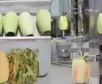 Ananas Dunschiller Machine Ananas Snijmachine Ananas Sap Maken Machine Te Koop