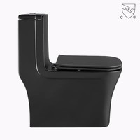 WC en céramique noir mat Cupc, sanitaire en porcelaine, à poser au sol, cuvette de toilette, salle de bain, siphon Tornado, toilette monobloc en céramique