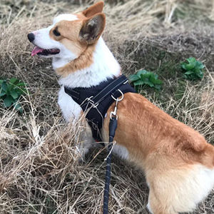 Correas de nailon, de lujo para perro mascota Collar, arnés ajustable retráctil, acero inoxidable, Oxford, transpirable, táctico, animales, gatos - Product Image 5