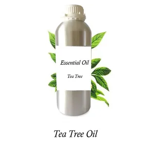 Aceite Esencial de árbol de té a granel, aceite orgánico 100% puro y Natural, 1kg