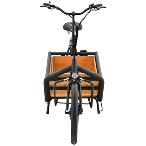 Chinese Supplier Aluminium <b>Frame</b> Family Carrying Load <b>Ebike</b> Super Load Chinese Supplier Aluminium <b>Frame</b> Family B - Product Image 2