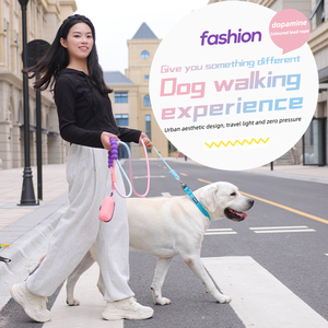 Rétractable Grande Laisse De Course Polyvalente Pour Pet Correa Para Mascota Slip Nylon Corde De Luxe Chien Laisse - Product Image 2